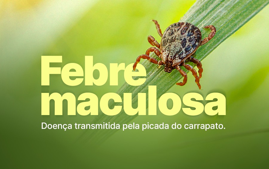 Alerta - Febre Maculosa é confirmada pela Dive em Canelinha