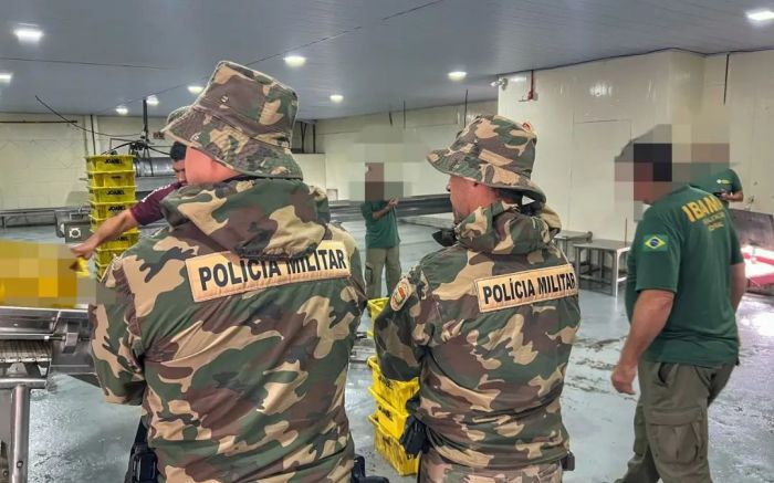 Navegantes - Polícia Ambiental apreende mais de uma tonelada de polvo