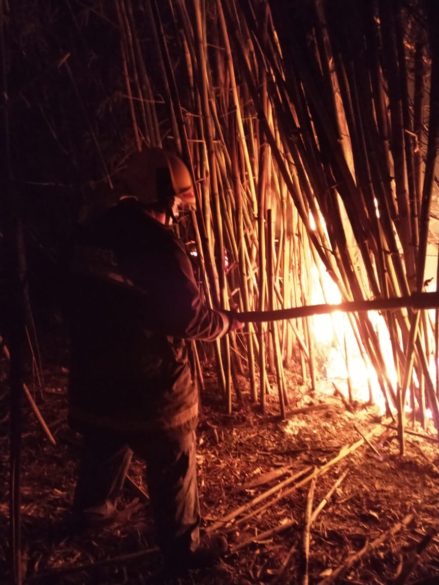Em menos de 48 horas: Navegantes, Penha, São João do Itaperiú e Barra Velha registram inúmeros focos de incêndios em morros, matas e vegetações rasteiras