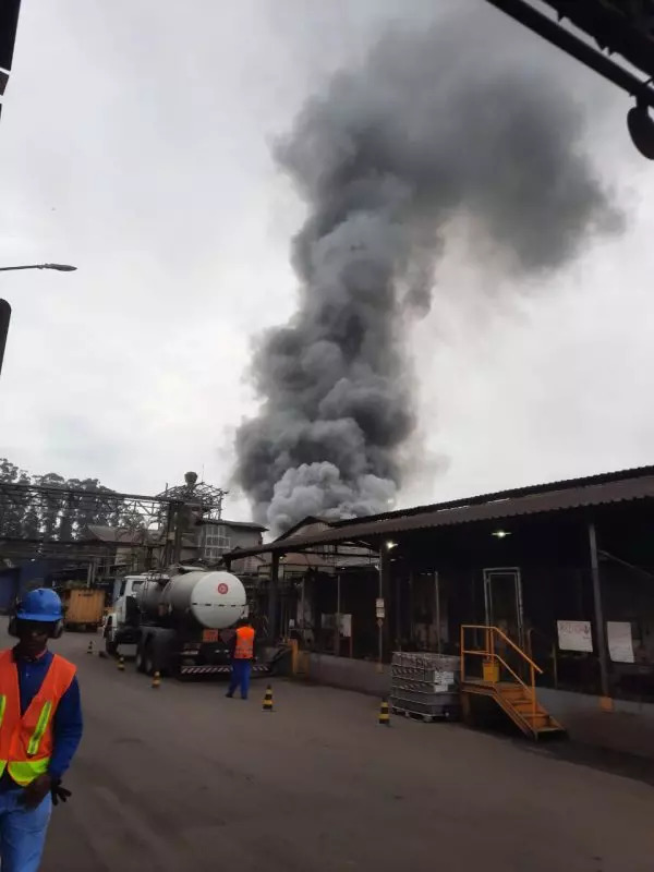 Joinville - Incêndio atinge área de metalúrgica Tupy no bairro Boa Vista