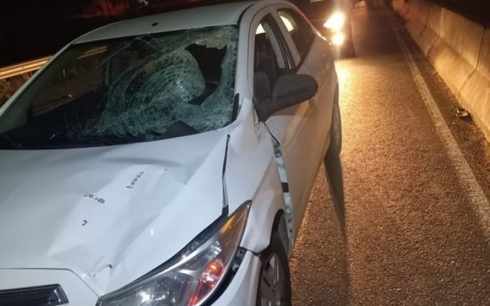 Itajaí - Pedestre morre atropelado na rodovia Antônio Heil
