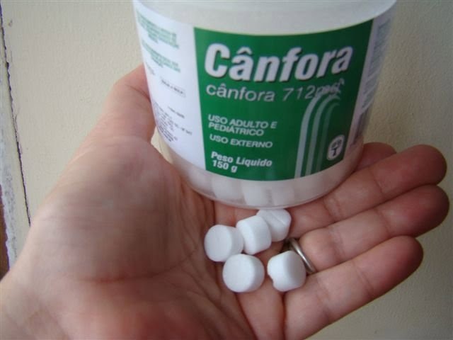 Coronavírus: Itajaí irá distribuir glóbulos de cânfora para estimular o sistema imunológico e inibir doenças como a COVID-19