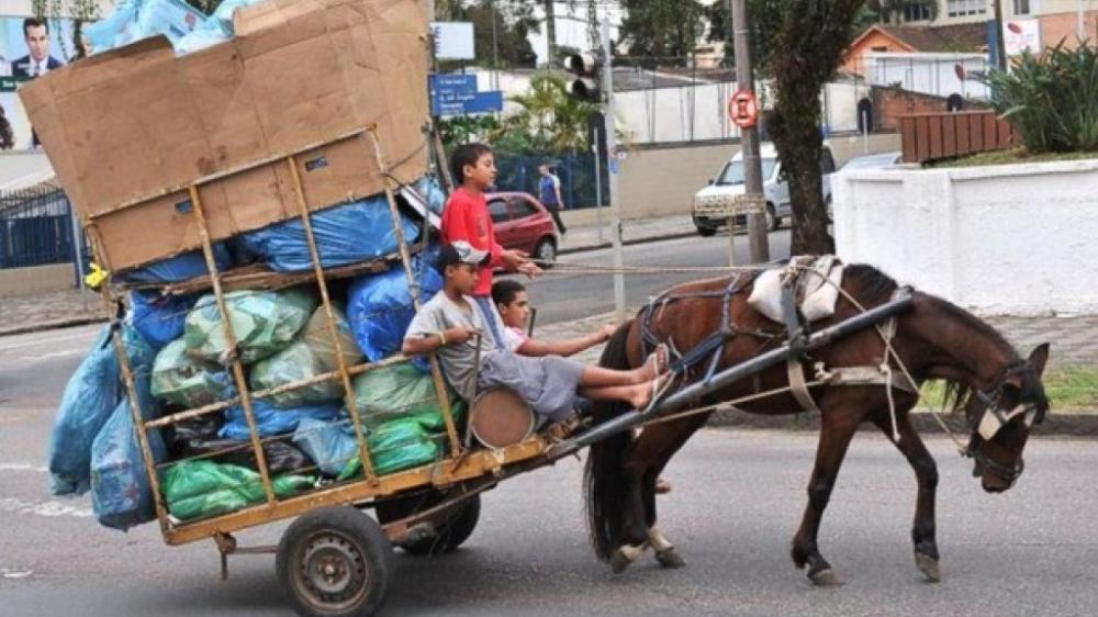 Projeto de Lei quer proibir uso de carroças com tração animal em Santa Catarina