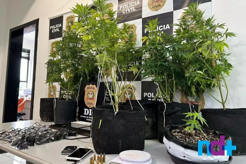Operação policial prende 8 suspeitos de tráficos de drogas e furto de veículos no Norte de SC