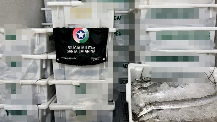 Balneário Barra do Sul - Mais de 7 toneladas em pescados ilegais são apreendidas pela PMA
