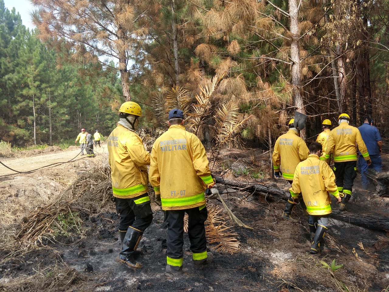 Barra Velha: Bombeiros continuam combatendo incêndio em área de reflorestamento no bairro Vila Nova