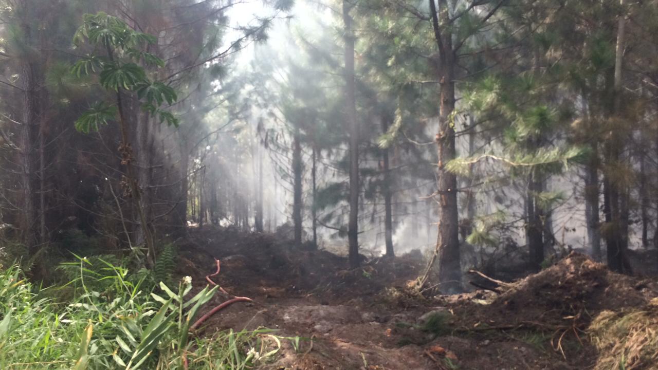 Barra Velha: Chega ao décimo dia o incêndio em área de reflorestamento no bairro Vila Nova