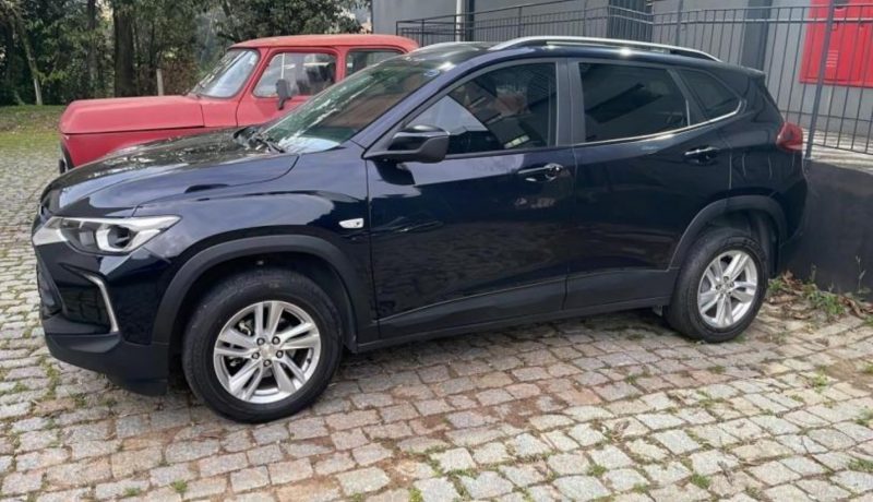 Blumenau – Ladrão é preso após invadir casa de idosos no bairro Itoupavazinha