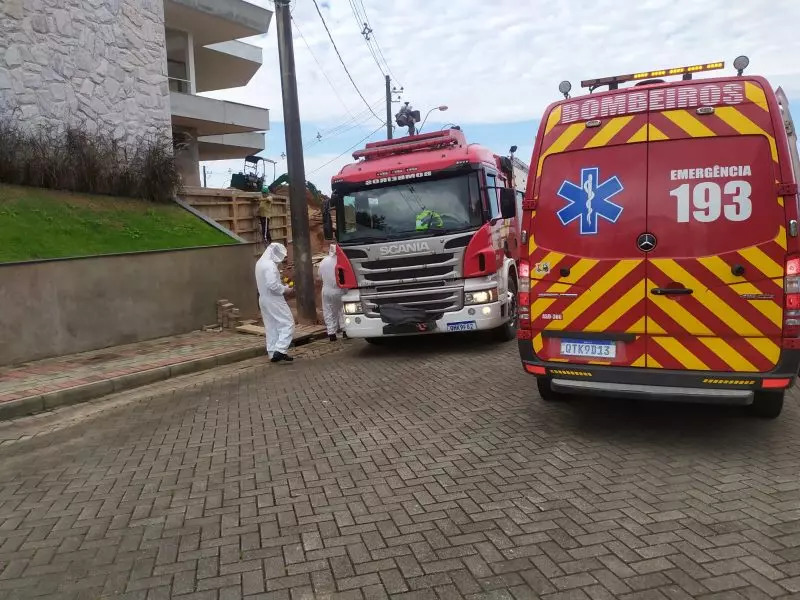 Brusque - Ataque de abelhas deixa homem ferido e moradores em pânico
