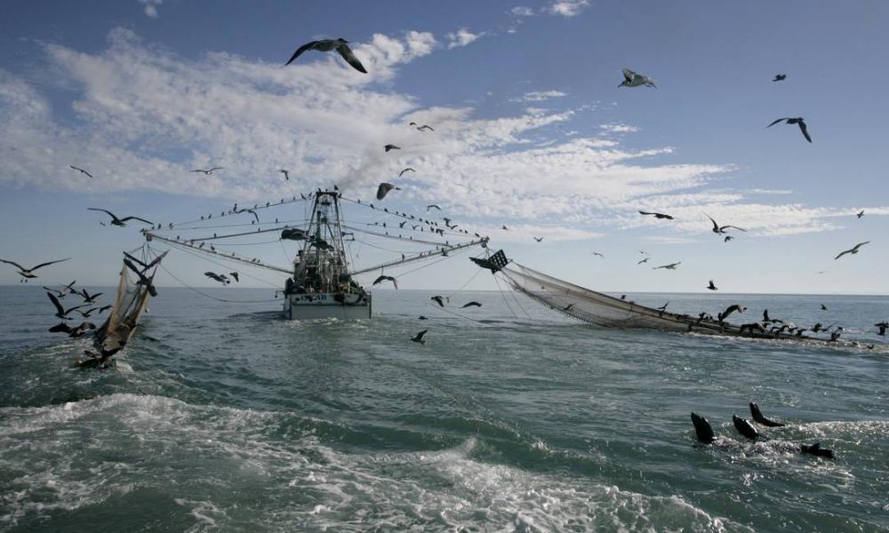 Relator apresenta voto contrário ao Projeto de Lei que visa proibir a pesca de arrasto no Brasil