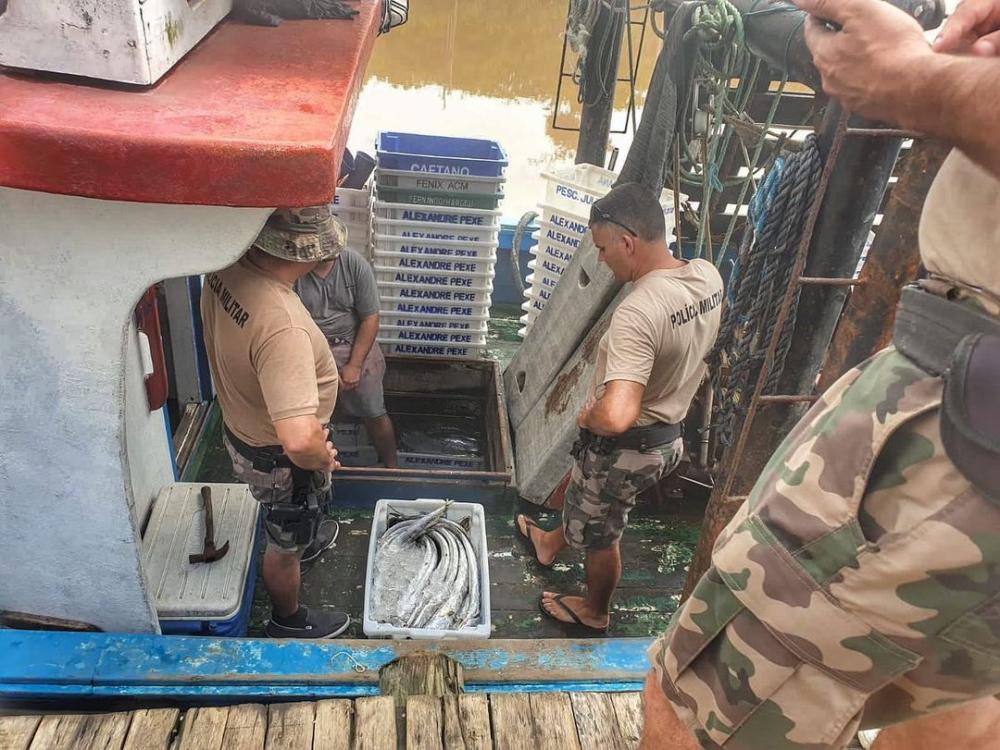 Balneário Piçarras – Policia Militar Ambiental apreende mais de uma tonelada de peixe-espada 